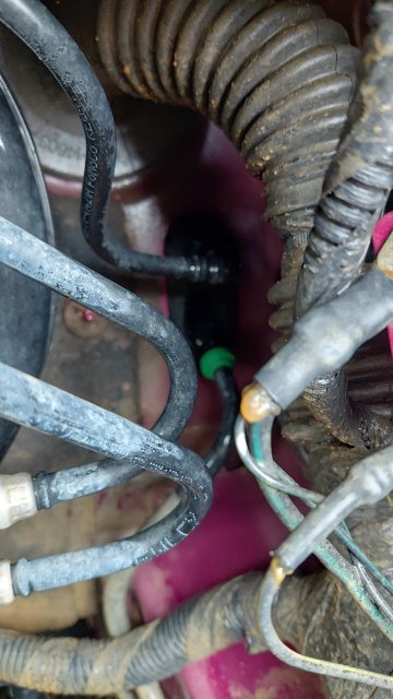 IMG-20260425-WA0014.jpeg