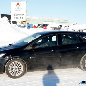 focus-mule-4.jpg